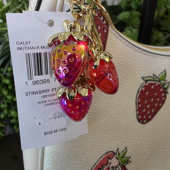 NWT Coach Teri Strawberry Print HOBO With Matching Wristlet And Unbranded Charm - Picture 4 of 16